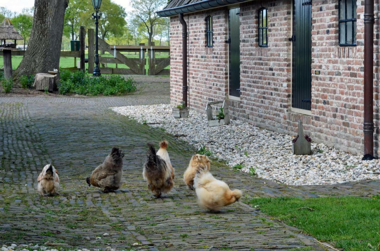 B&B De Kloosterhoek Dedemsvaart Zewnętrze zdjęcie